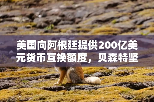 美国向阿根廷提供200亿美元货币互换额度，贝森特坚称这不是援助