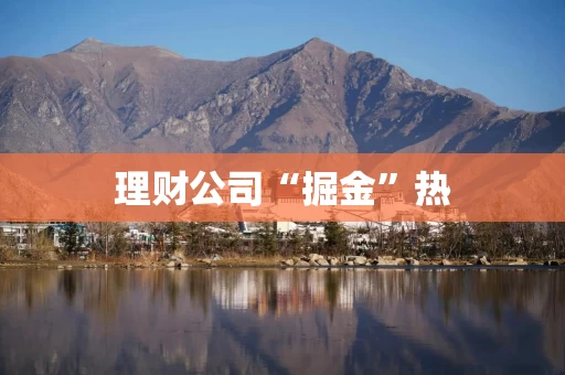 理财公司“掘金”热