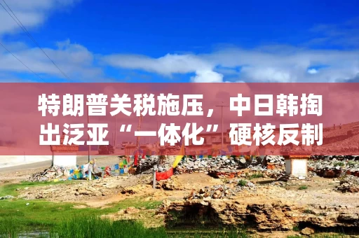 特朗普关税施压，中日韩掏出泛亚“一体化”硬核反制！