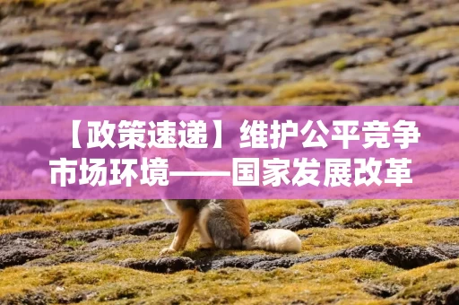 【政策速递】维护公平竞争市场环境——国家发展改革委有关负责人解读《关于治理价格无序竞争 维护良好市场价格秩序的公告》