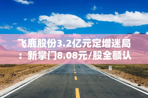 飞鹿股份3.2亿元定增迷局：新掌门8.08元/股全额认购新股 原实控人12.66/股减持提现近1.4亿