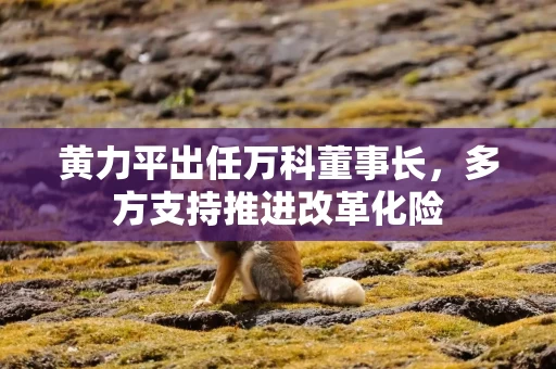 黄力平出任万科董事长，多方支持推进改革化险