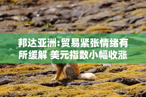 邦达亚洲:贸易紧张情绪有所缓解 美元指数小幅收涨