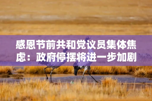 感恩节前共和党议员集体焦虑：政府停摆将进一步加剧航班混乱