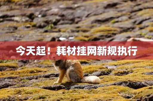 今天起！耗材挂网新规执行