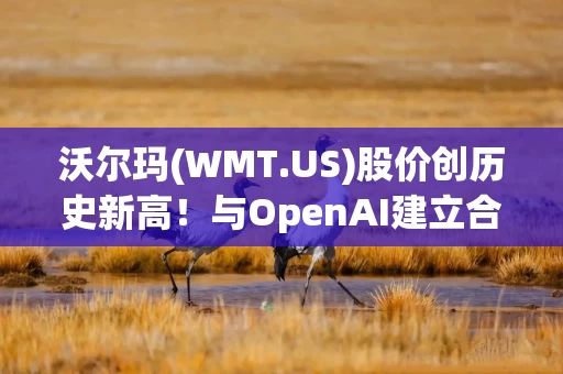 沃尔玛(WMT.US)股价创历史新高！与OpenAI建立合作关系