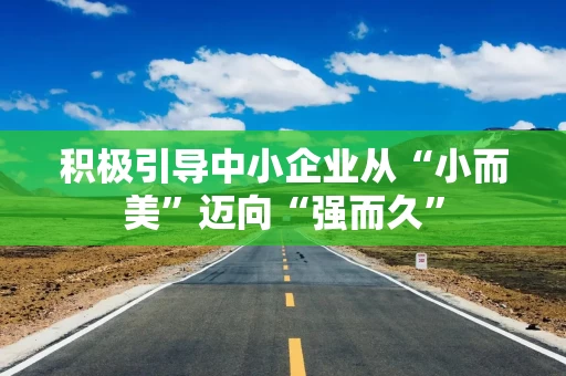 积极引导中小企业从“小而美”迈向“强而久”