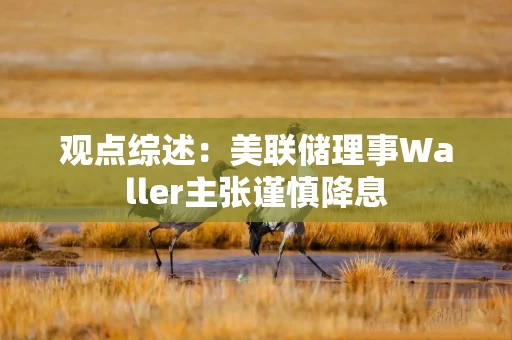 观点综述：美联储理事Waller主张谨慎降息