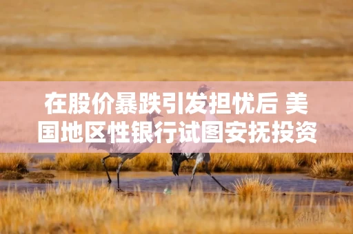 在股价暴跌引发担忧后 美国地区性银行试图安抚投资者