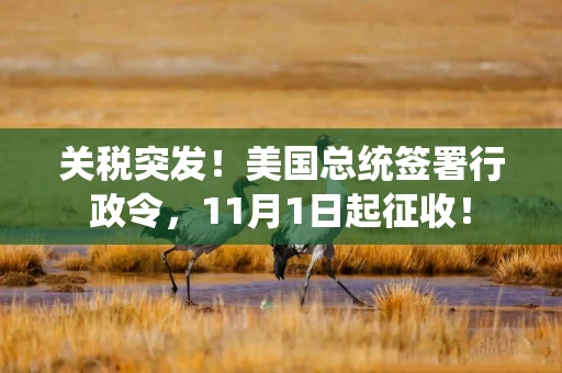 关税突发！美国总统签署行政令，11月1日起征收！