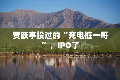 贾跃亭投过的“充电桩一哥”，IPO了
