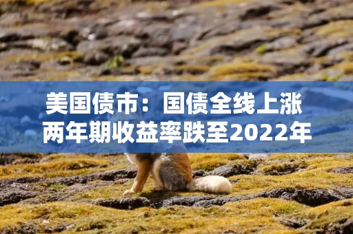 美国债市：国债全线上涨 两年期收益率跌至2022年来最低