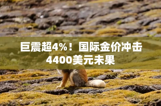 巨震超4%！国际金价冲击4400美元未果