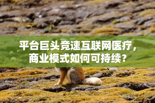 平台巨头竞速互联网医疗，商业模式如何可持续？
