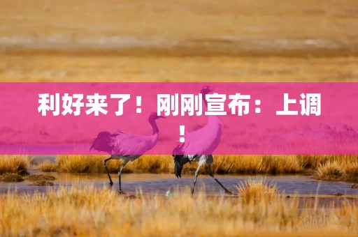 利好来了！刚刚宣布：上调！