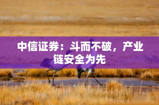 中信证券：斗而不破，产业链安全为先