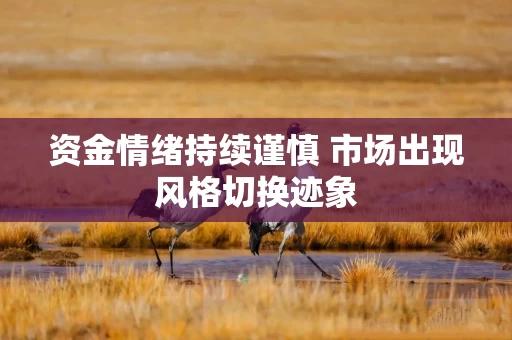 资金情绪持续谨慎 市场出现风格切换迹象