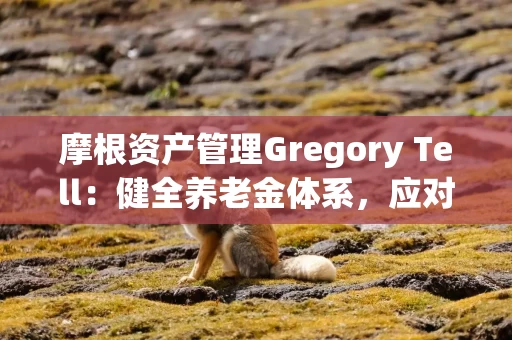 摩根资产管理Gregory Tell：健全养老金体系，应对人口结构变化