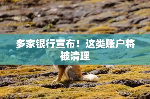 多家银行宣布！这类账户将被清理