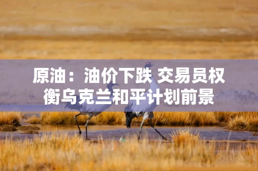 原油：油价下跌 交易员权衡乌克兰和平计划前景