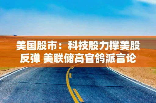 美国股市：科技股力撑美股反弹 美联储高官鸽派言论提振市场情绪