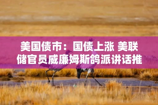 美国债市：国债上涨 美联储官员威廉姆斯鸽派讲话推高降息押注