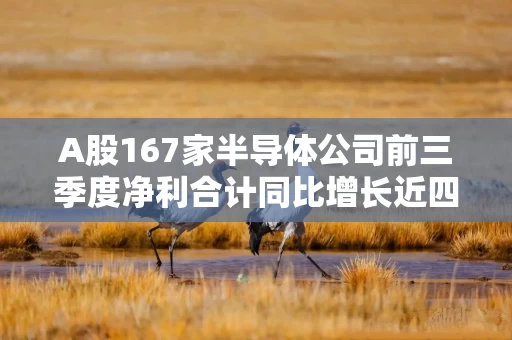 A股167家半导体公司前三季度净利合计同比增长近四成