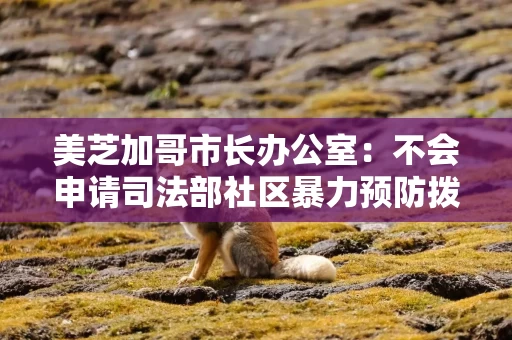 美芝加哥市长办公室：不会申请司法部社区暴力预防拨款