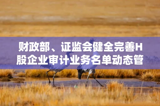 财政部、证监会健全完善H股企业审计业务名单动态管理和市场退出机制 每年对H股会计师事务所进行综合评估
