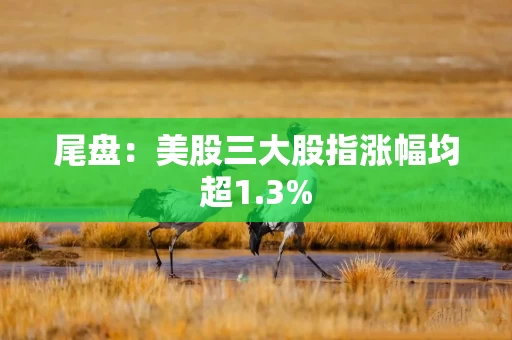 尾盘：美股三大股指涨幅均超1.3%