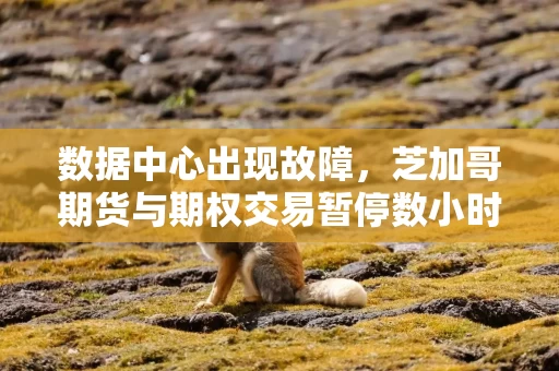 数据中心出现故障，芝加哥期货与期权交易暂停数小时