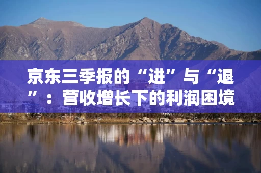 京东三季报的“进”与“退”：营收增长下的利润困境与战略转型