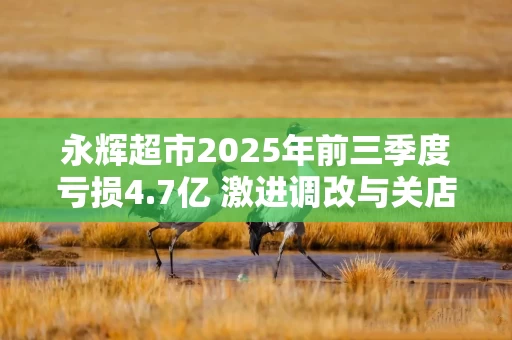 永辉超市2025年前三季度亏损4.7亿 激进调改与关店拖累短期业绩