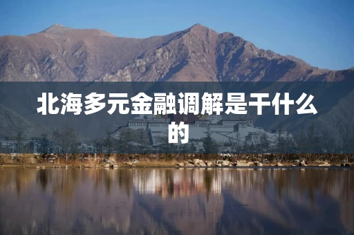 北海多元金融调解是干什么的