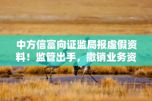 中方信富向证监局报虚假资料！监管出手，撤销业务资格！
