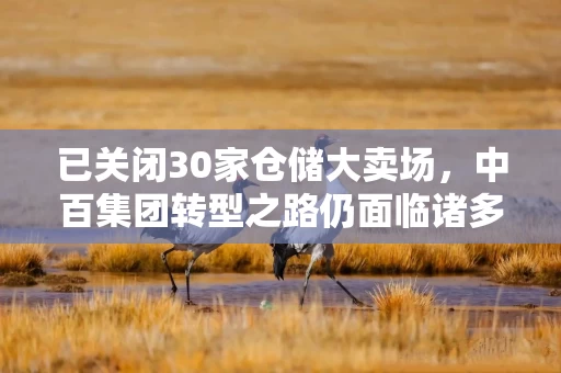 已关闭30家仓储大卖场，中百集团转型之路仍面临诸多挑战