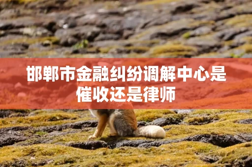邯郸市金融纠纷调解中心是催收还是律师 邯郸市金融纠纷调解中心是催收还是律师
