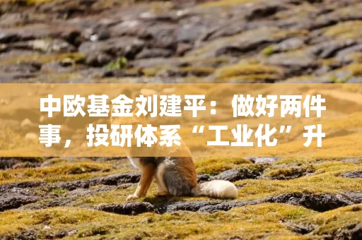 中欧基金刘建平:做好两件事,投研体系“工业化”升级、长期主义客户陪伴 中欧基金刘建平:做好两件事,投研体系“工业化”升级、长期主义客户陪伴