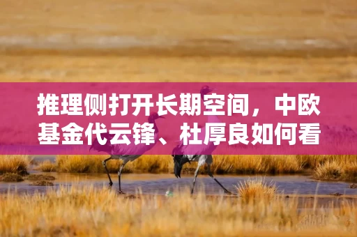 推理侧打开长期空间，中欧基金代云锋、杜厚良如何看AI投资？