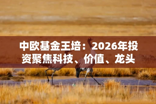 中欧基金王培：2026年投资聚焦科技、价值、龙头