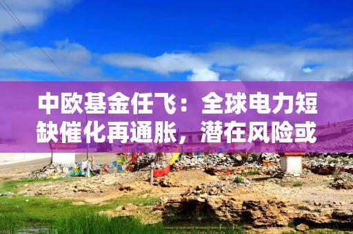 中欧基金任飞:全球电力短缺催化再通胀,潜在风险或转为市场主线 中欧基金任飞:全球电力短缺催化再通胀,潜在风险或转为市场主线