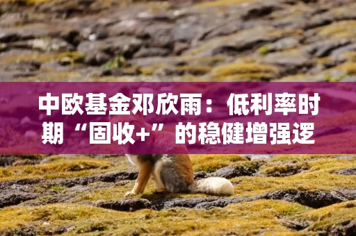 中欧基金邓欣雨：低利率时期“固收+”的稳健增强逻辑