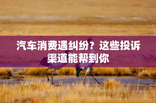 汽车消费遇纠纷？这些投诉渠道能帮到你