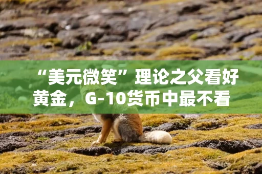 “美元微笑”理论之父看好黄金，G-10货币中最不看好英镑和美元！