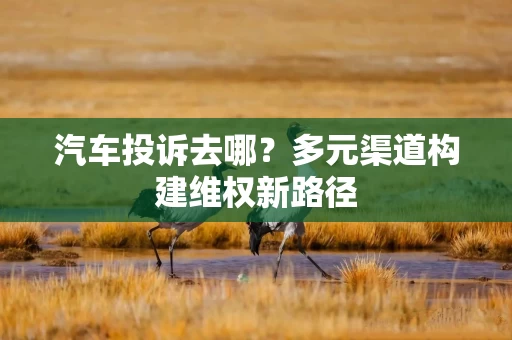 汽车投诉去哪?多元渠道构建维权新路径 汽车投诉去哪?多元渠道构建维权新路径