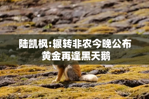 陆凯枫:辗转非农今晚公布 黄金再逢黑天鹅