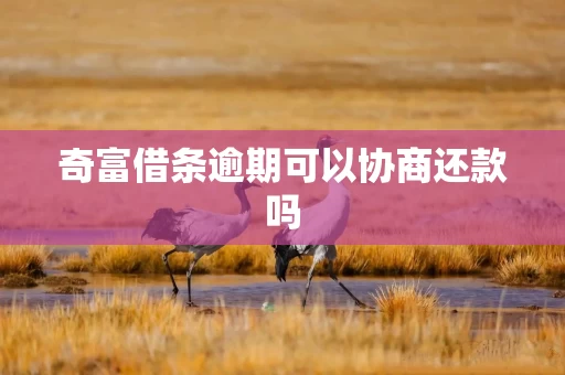 奇富借条逾期可以协商还款吗