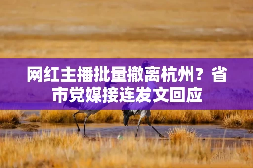 网红主播批量撤离杭州?省市党媒接连发文回应 网红主播批量撤离杭州?省市党媒接连发文回应