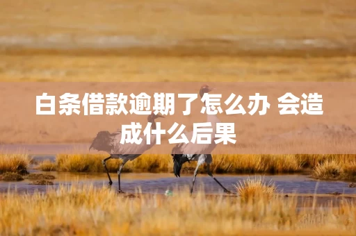 白条借款逾期了怎么办 会造成什么后果