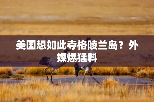 美国想如此夺格陵兰岛？外媒爆猛料